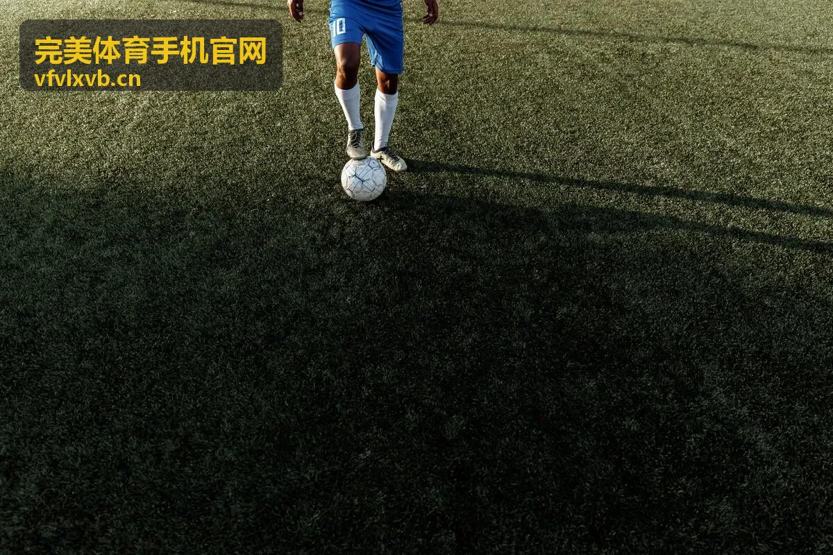 完美体育手机官网 赛事直播栏目配图